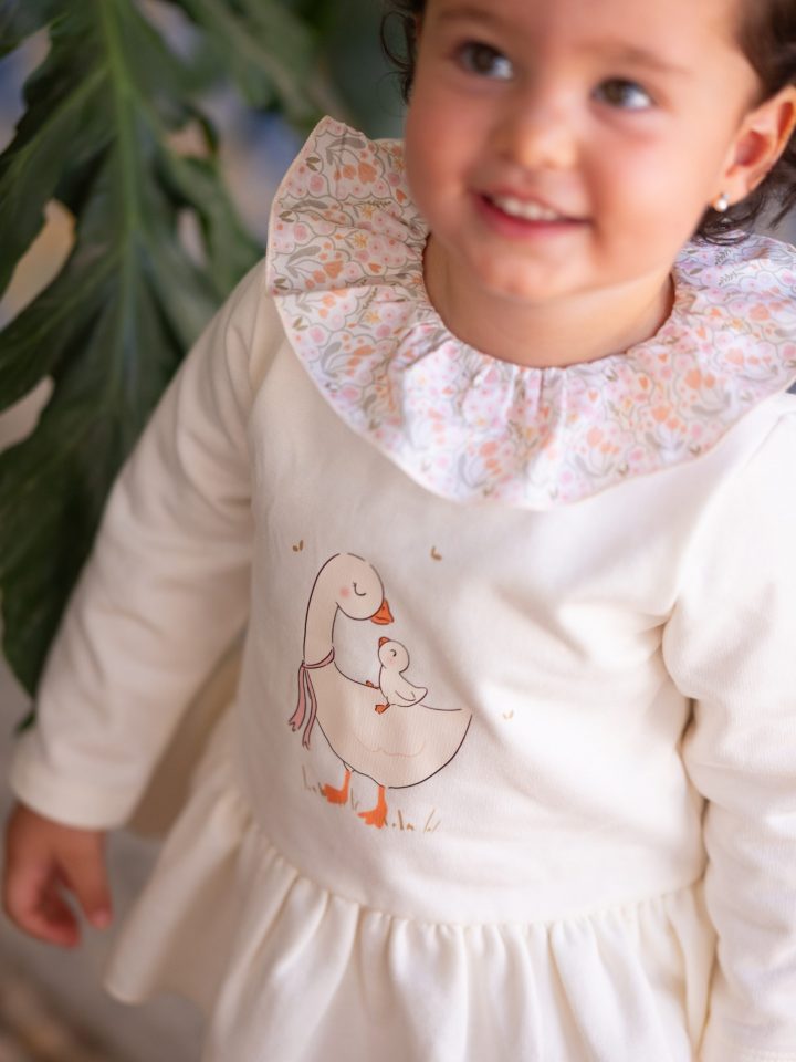 Jesusito cisne Pío Pío