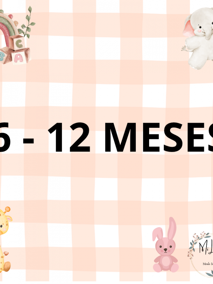 6-12 Meses