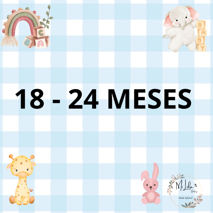 18-24 Meses