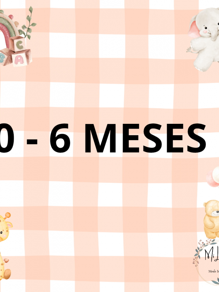 0-6 MESES